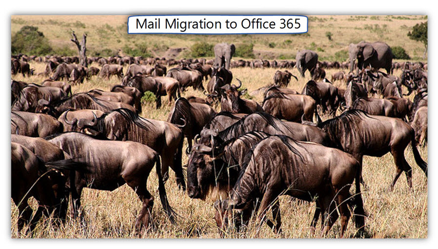 Mail Migration to Office 365
